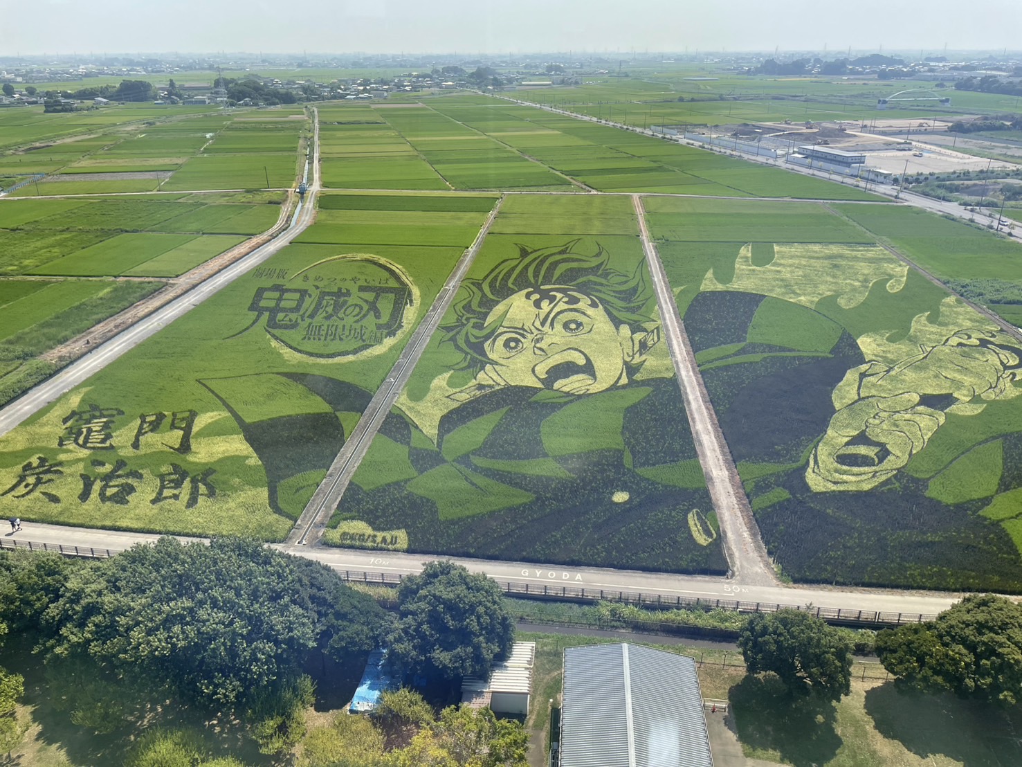 田んぼアート