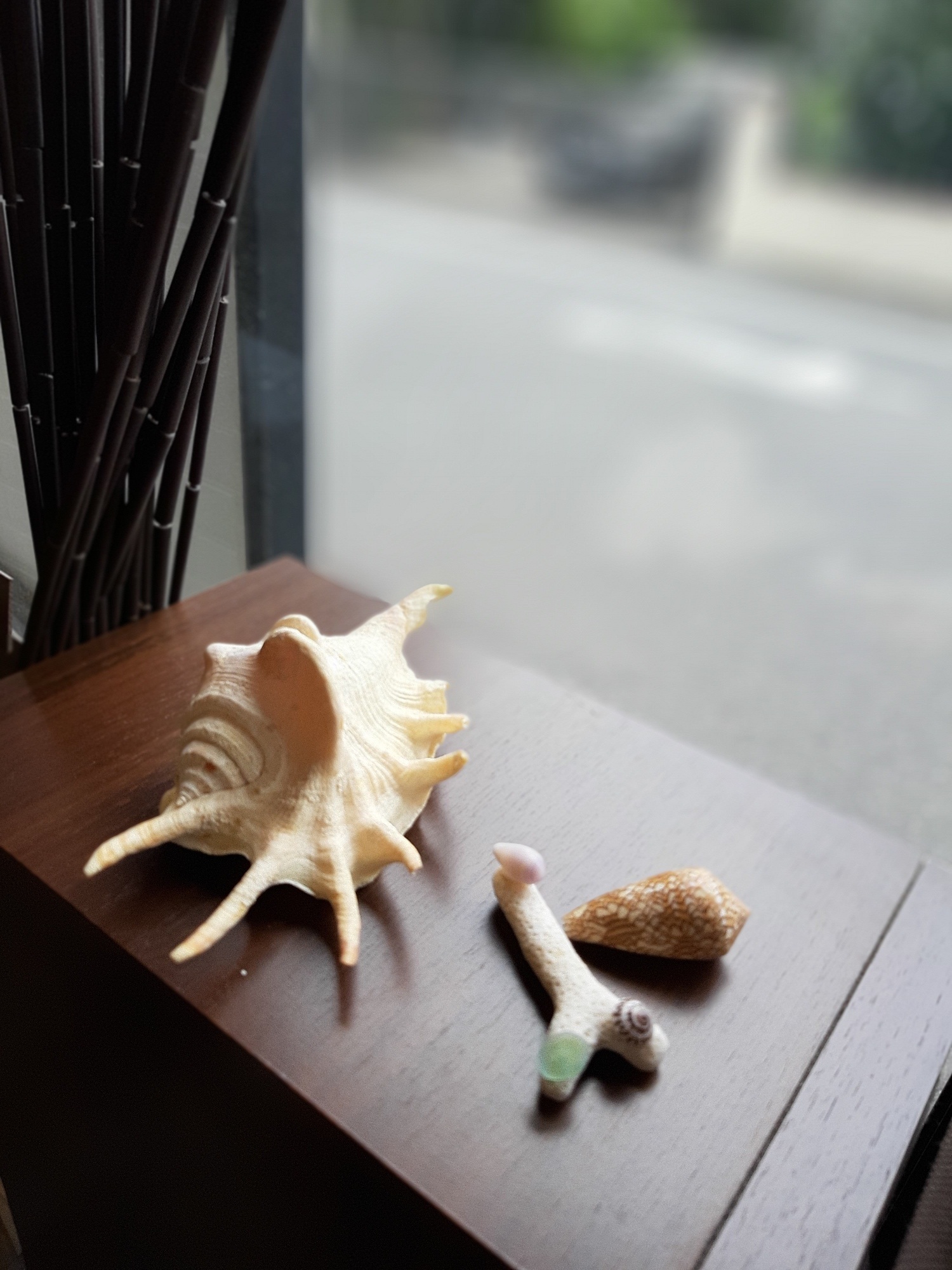 夏を飾りました