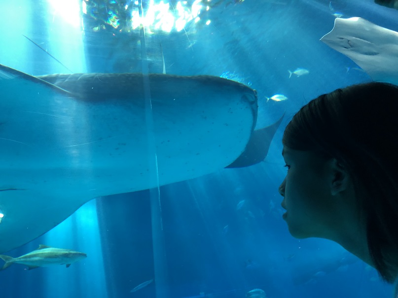 初めての美ら海水族館