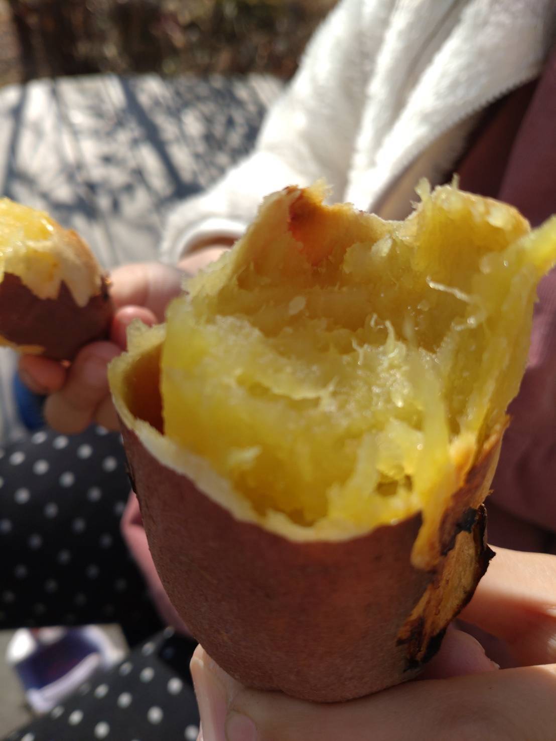 ステンドグラスと焼き芋