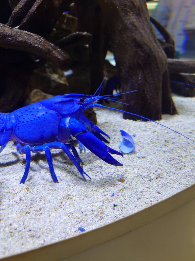 line_oa_chat_250610_113324