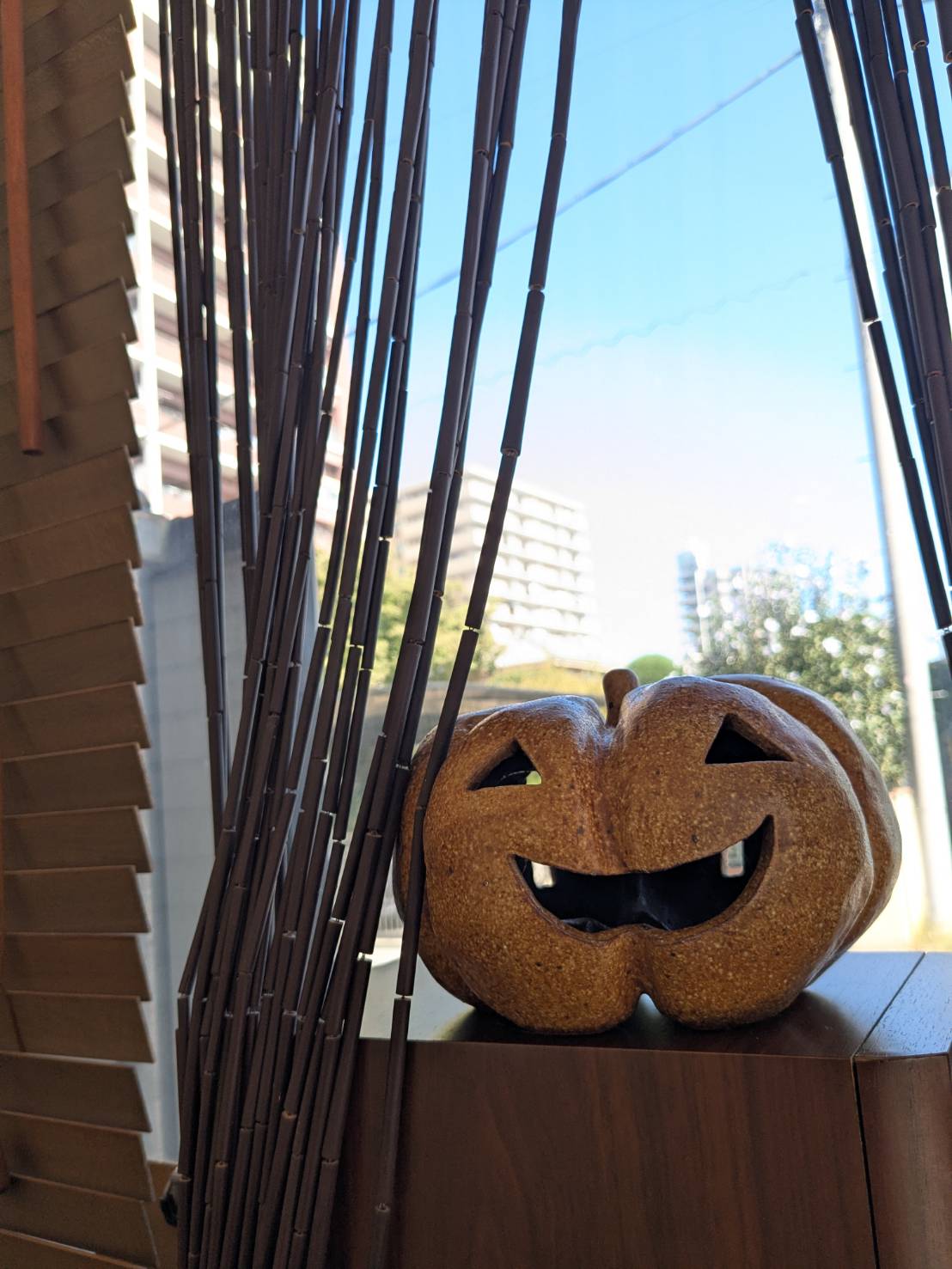 ハロウィンカボチャの季節です