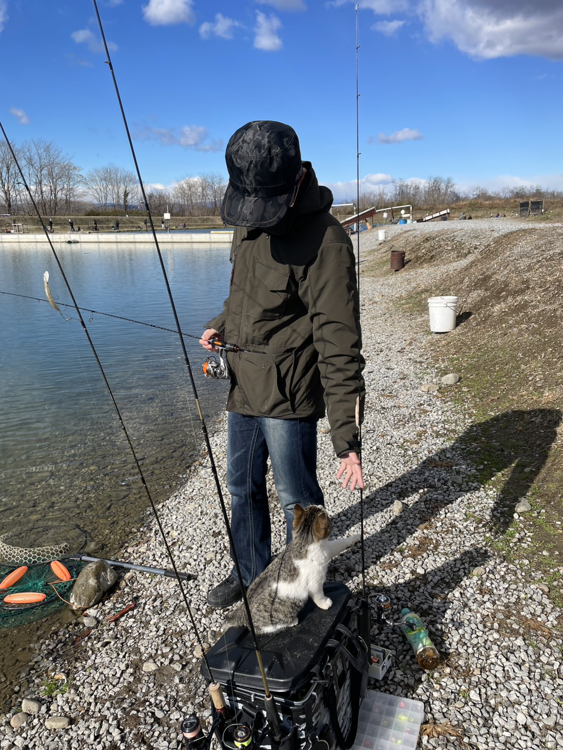 釣り堀で猫釣り