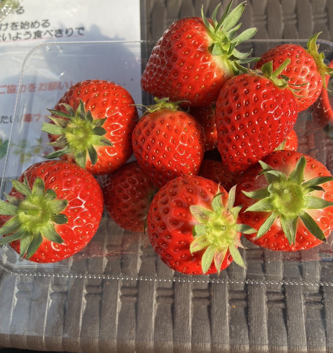 お土産のいちご