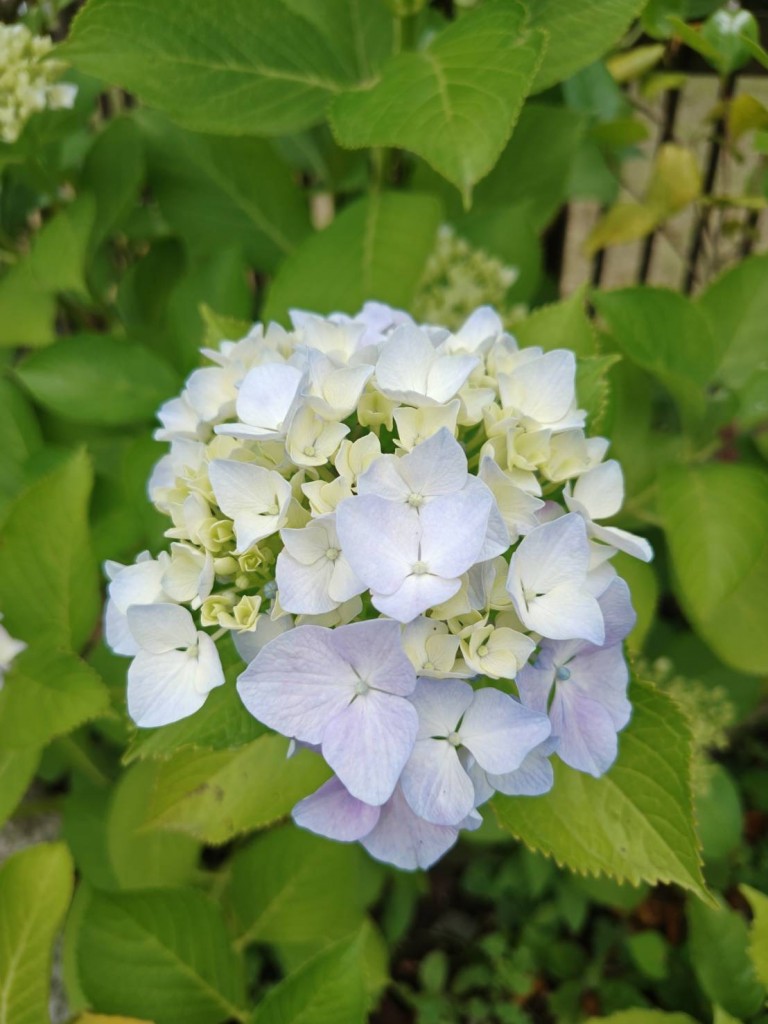 line_oa_chat_260612_102955